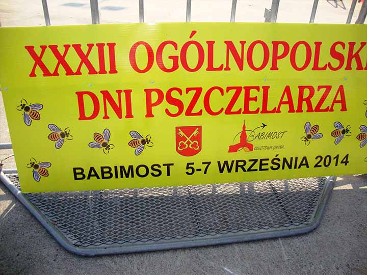 IMG-GALLERY
