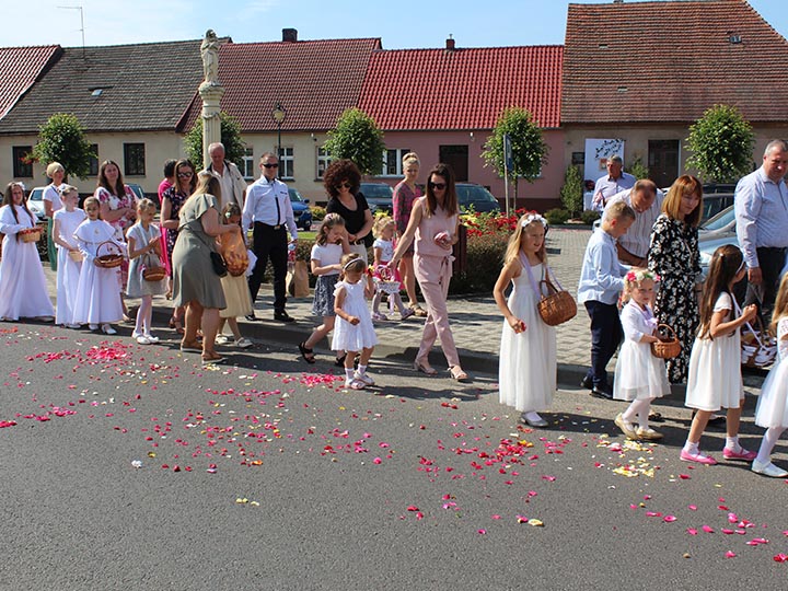 IMG-GALLERY